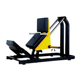 LFA-00 Gemelos Sentadilla a Discos