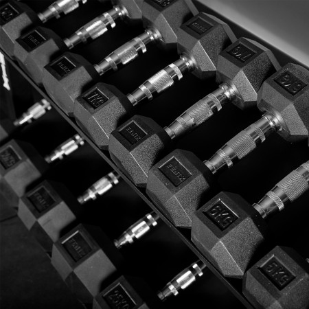 FX65 Dumbbell Hex Rubber Fenix Equipment FX65 Dumbbell Hex Rubber Fenix Equipment